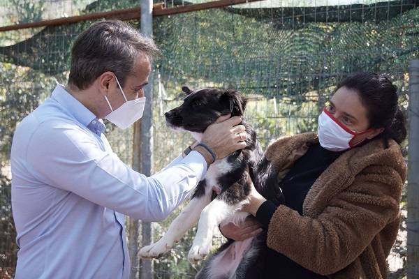 Το μήνυμα Μητσοτάκη για την Παγκόσμια Ημέρα Αδέσποτων Ζώων (video)
