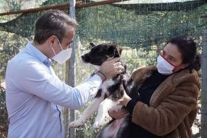 Το μήνυμα Μητσοτάκη για την Παγκόσμια Ημέρα Αδέσποτων Ζώων (video)