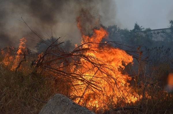 Υπό μερικό έλεγχο η πυρκαγιά στη Φθιώτιδα