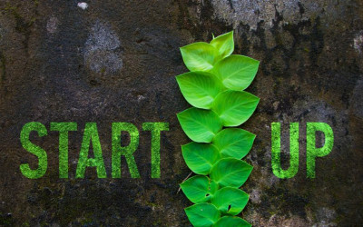 «Πράσινες» Startups από έξι ομάδες μαθητών από ΕΠΑΛ του Πειραιά