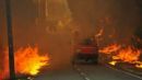 Στους 41 οι νεκροί από τις φονικές πυρκαγιές στην Πορτογαλία