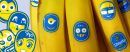 Μπανανο...δρομίες Chiquita στο Navarino Challenge