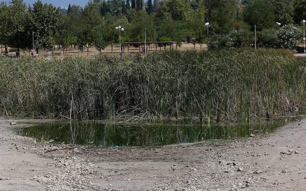 Πατούλης: Το Πάρκο Τρίτση θα μετατραπεί σε όαση πρασίνου