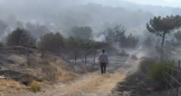 Φωτιά στη Λέσβο: Καλύτερη η εικόνα- Σε επιφυλακή για αναζωπυρώσεις