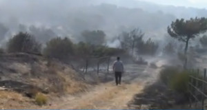 Φωτιά στη Λέσβο: Καλύτερη η εικόνα- Σε επιφυλακή για αναζωπυρώσεις