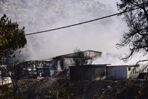 ΞΕΕ: Σε εξέλιξη η διαδικασία για προσωρινή φιλοξενία πυρόπληκτων πολιτών