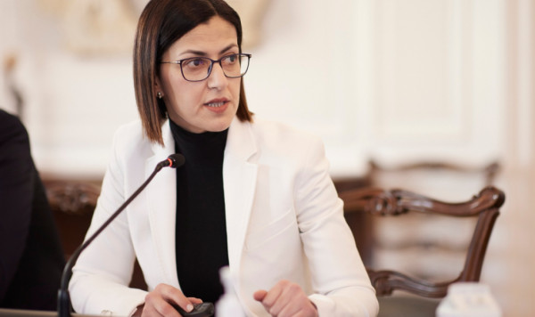Αγαπηδάκη: Eστίες μόλυνσης λάσπες και νεκρά ζώα-Δεν υπάρχει φόβος ελονοσίας