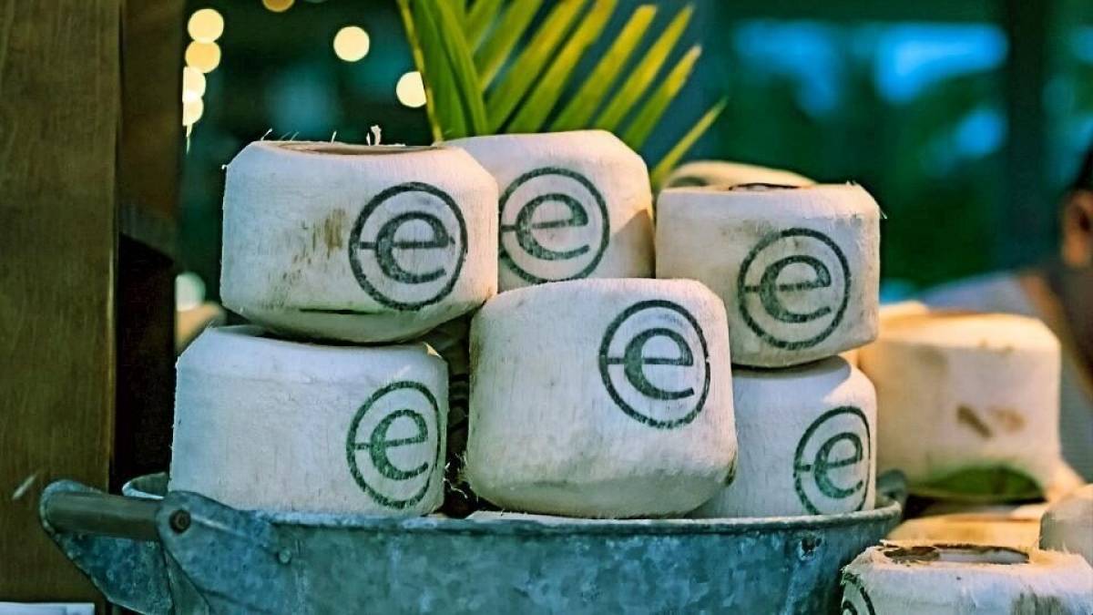 Endeavor Greece: Έσοδα €380 εκατ. για τους επιχειρηματίες του δικτύου