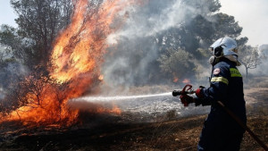 Πυρκαγιά σε δασική έκταση στον Πλάτανο Ηλείας
