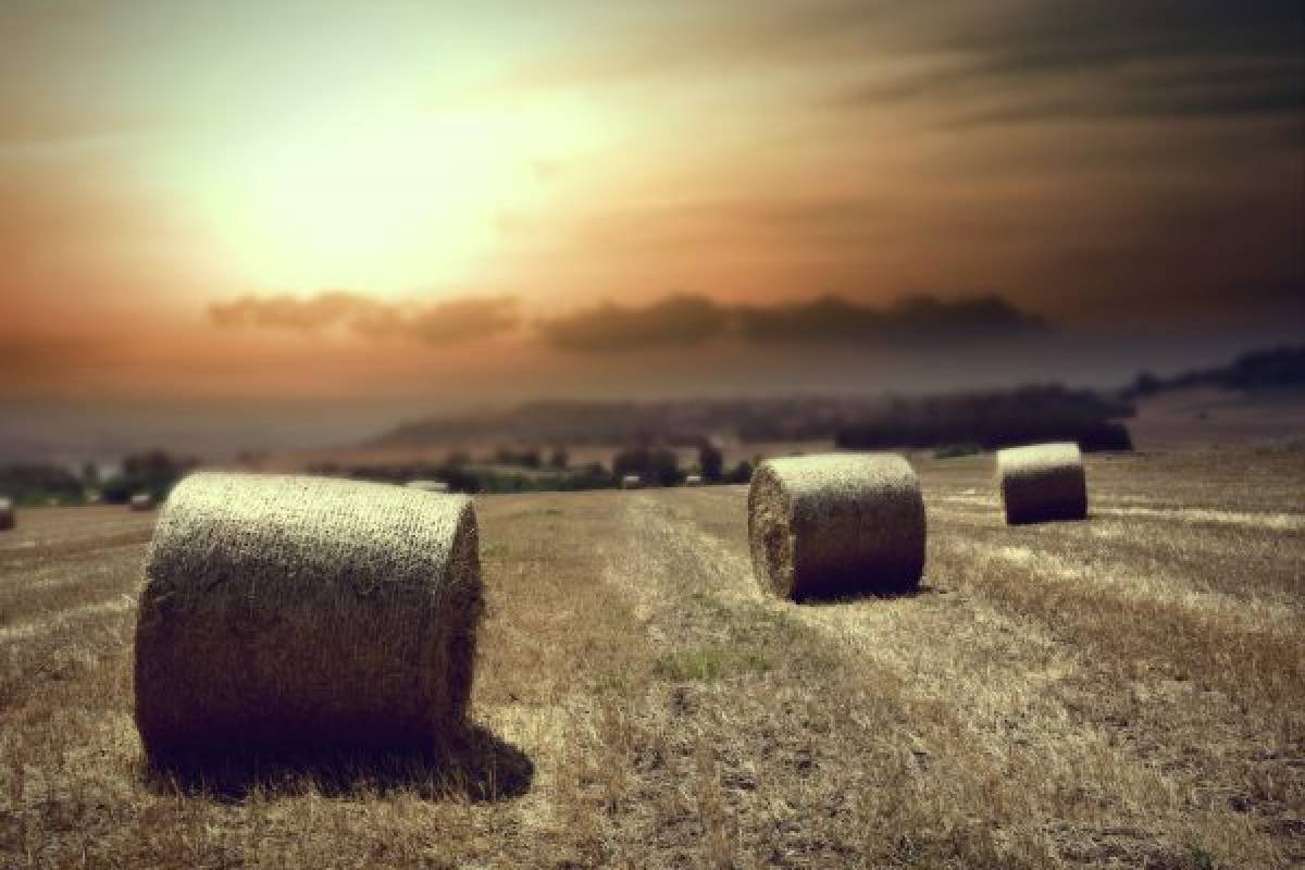 Σχόλια του Green Tank για τον Εθνικό Κλιματικό Νόμο