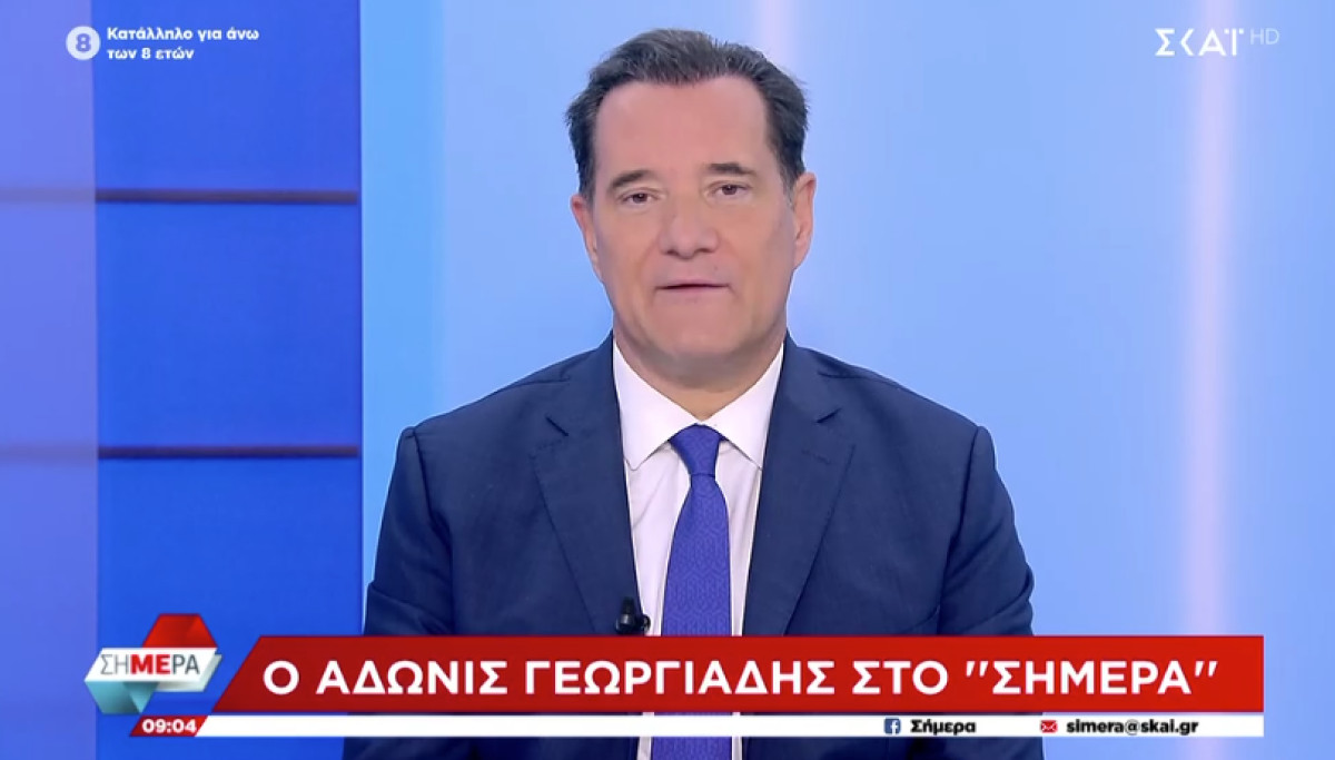 Γεωργιάδης: Στήθηκε τεράστια επικοινωνιακή προσπάθεια πάνω στον πόνο ενός πατέρα