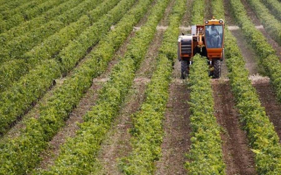 Αύξηση 18,3% του δείκτη τιμών εκροών στη γεωργία- κτηνοτροφία