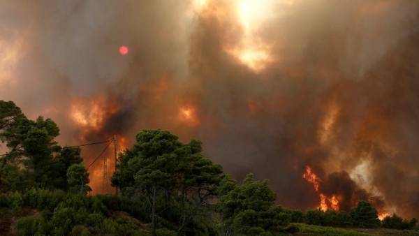 Πυρκαγιά-Φωκίδα: Νεκρός χειριστής μπουλντόζας που έπεσε σε γκρεμό