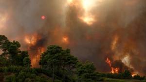 Πυρκαγιά-Φωκίδα: Νεκρός χειριστής μπουλντόζας που έπεσε σε γκρεμό
