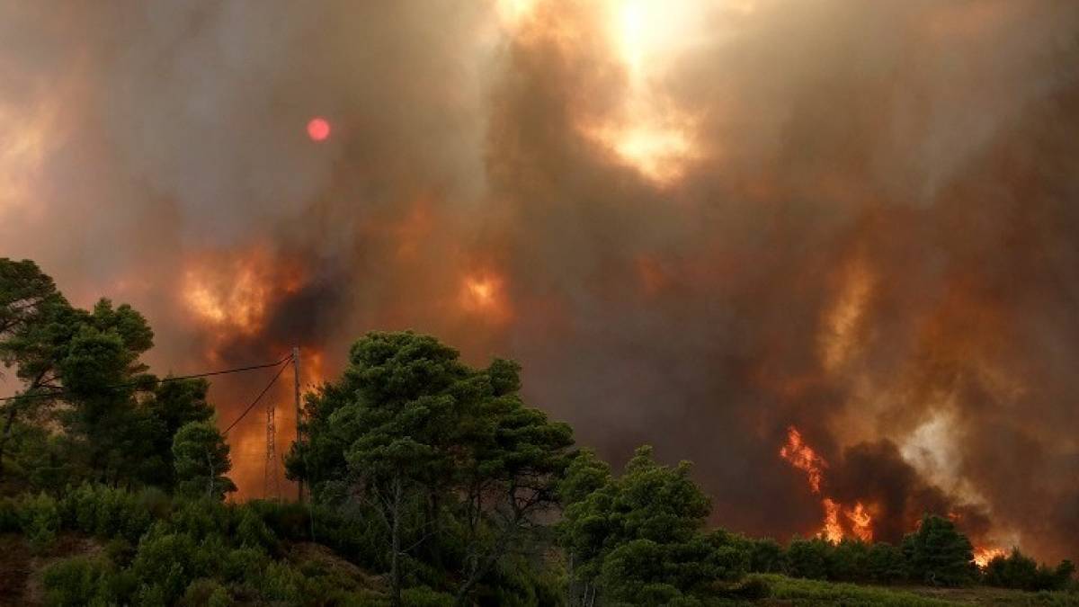 Πυρκαγιά-Φωκίδα: Νεκρός χειριστής μπουλντόζας που έπεσε σε γκρεμό