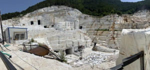 Ικτίνος Ελλάς: Αντικατάσταση στο ΔΣ - Ορισμός της Σοφίας Σαπύρα στη θέση της Λυδίας Χαϊδά