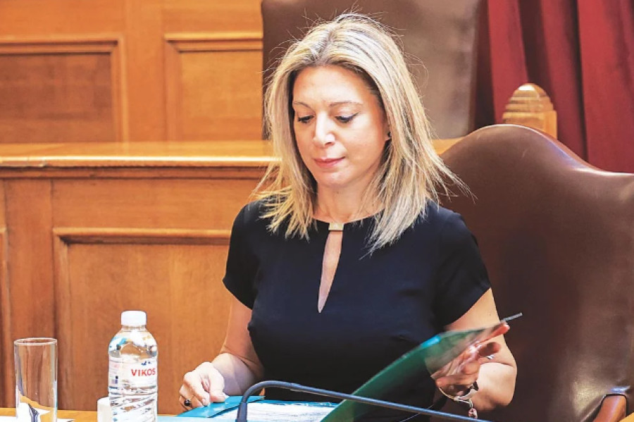 Στο Ευρωκοινοβούλιο η Μαρία Καρυστιανού–Η επιτροπή δέχτηκε την αναφορά της