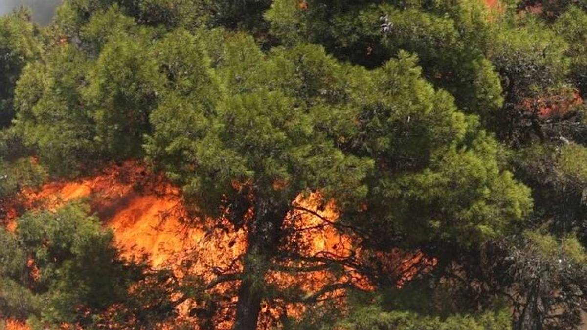 Πυρκαγιές: Συλλήψεις σε Λιβαδειά, Μυτιλήνη και Αττική για εμπρησμό