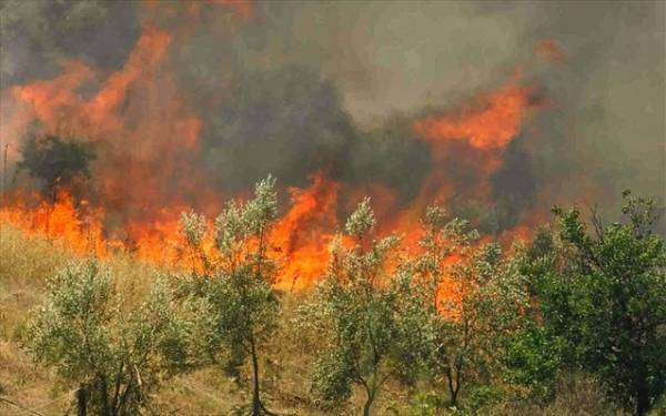 Προειδοποίηση ΓΓΠΠ για πυρκαγιές και την Τετάρτη