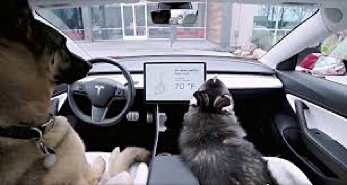 Σωτήρια για τα pet σας ευρηματικότητα από την Tesla