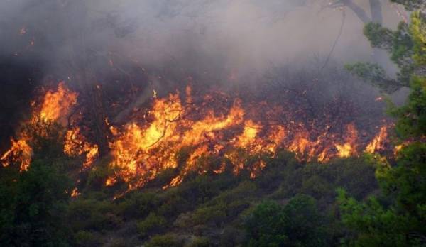 Στις φλόγες δασική έκταση του Ρεθύμνου
