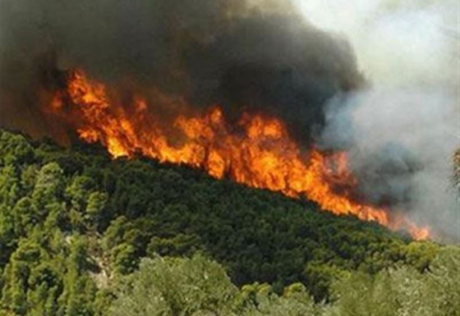 «Καμπανάκι» για δασικές πυρκαγιές- Αύξηση της ευφλεκτότητας ως 21 Αυγούστου