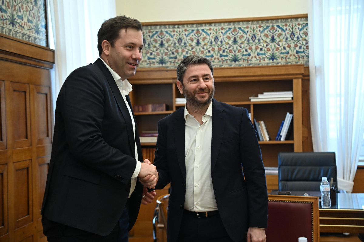 Συνάντηση Ανδρουλάκη με τον πρόεδρο του SPD, Λαρς Κλινγκμπάιλ