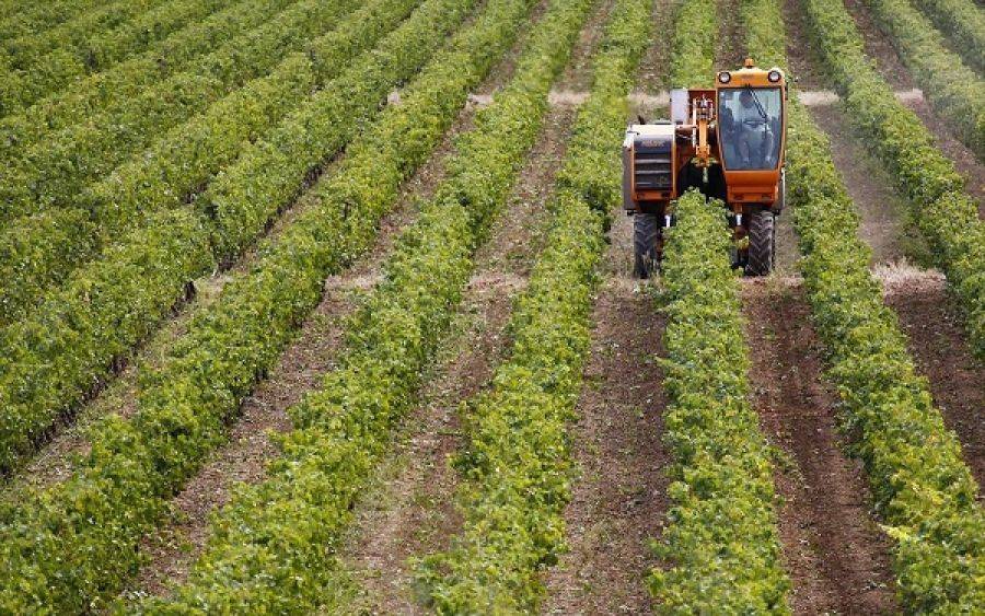Αυξήθηκαν κατά 16,8% οι εκροές στη γεωργία τον Φεβρουάριο