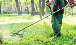Κατσαφάδος: Τελεσίγραφο έως 15/6 για τα ακαθάριστα οικόπεδα – Πρόστιμα μέσω ΑΑΔΕ και εντατικοί έλεγχοι