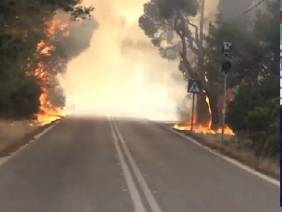 Ολονύχτια μάχη με τις φλόγες σε Εύβοια και Μεσσηνία