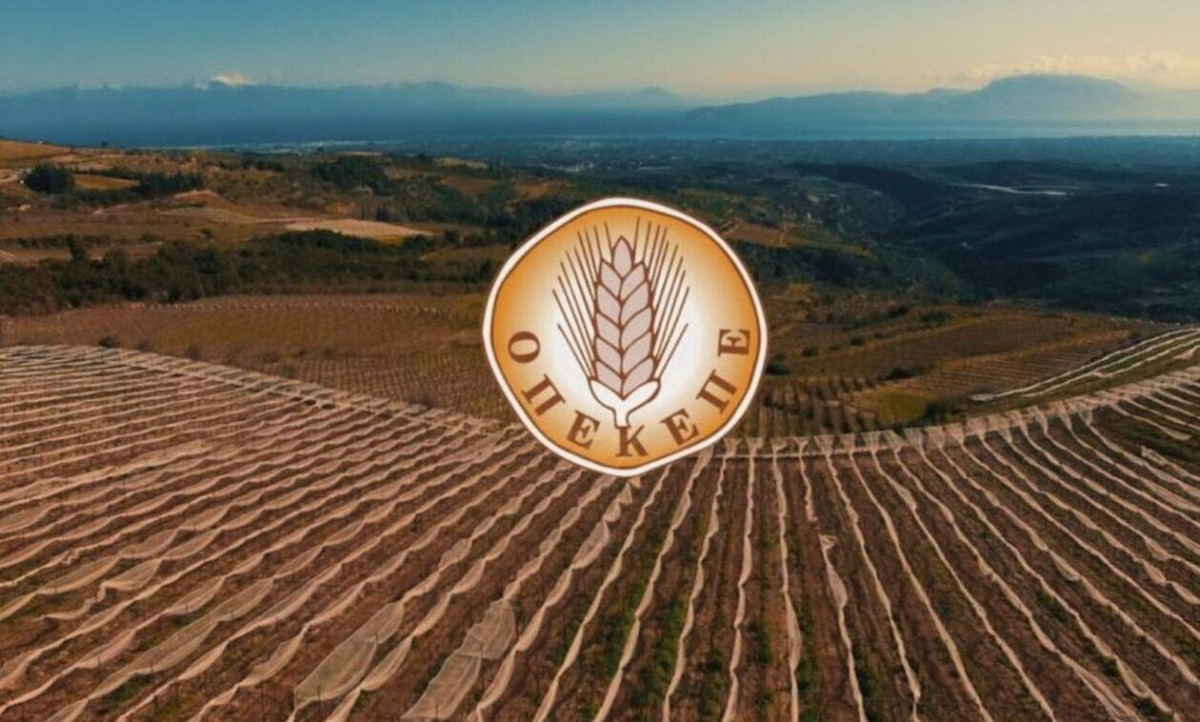 ΟΠΕΚΕΠΕ: Πλήρωσε 18.1 εκατ. ευρώ σε 1.098 δικαιούχους