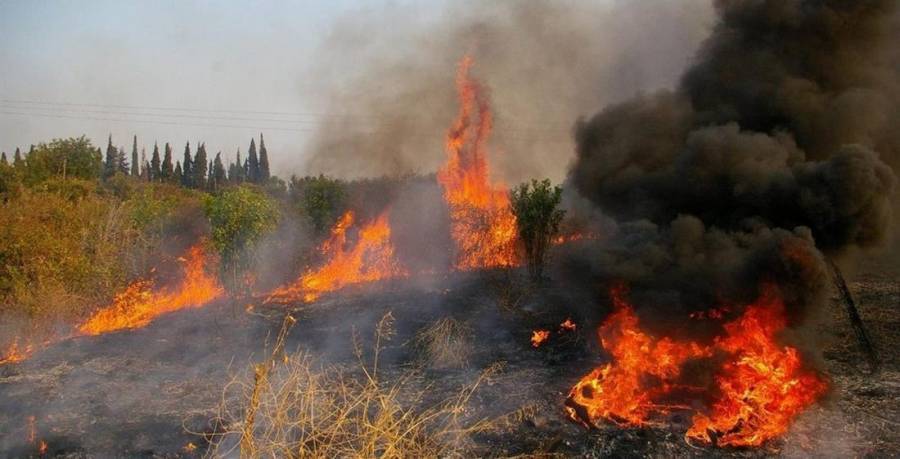 Συναγερμός στην Πυροσβεστική: Μεγάλη πυρκαγιά στην Κάρυστο