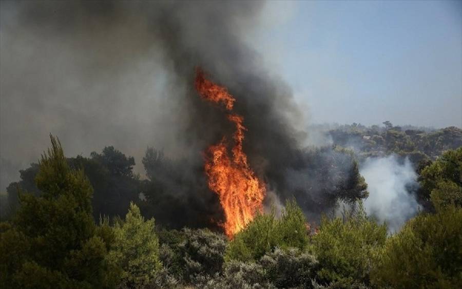 Πυρκαγιά σε δασική έκταση στην Κουνόπετρα Ληξουρίου