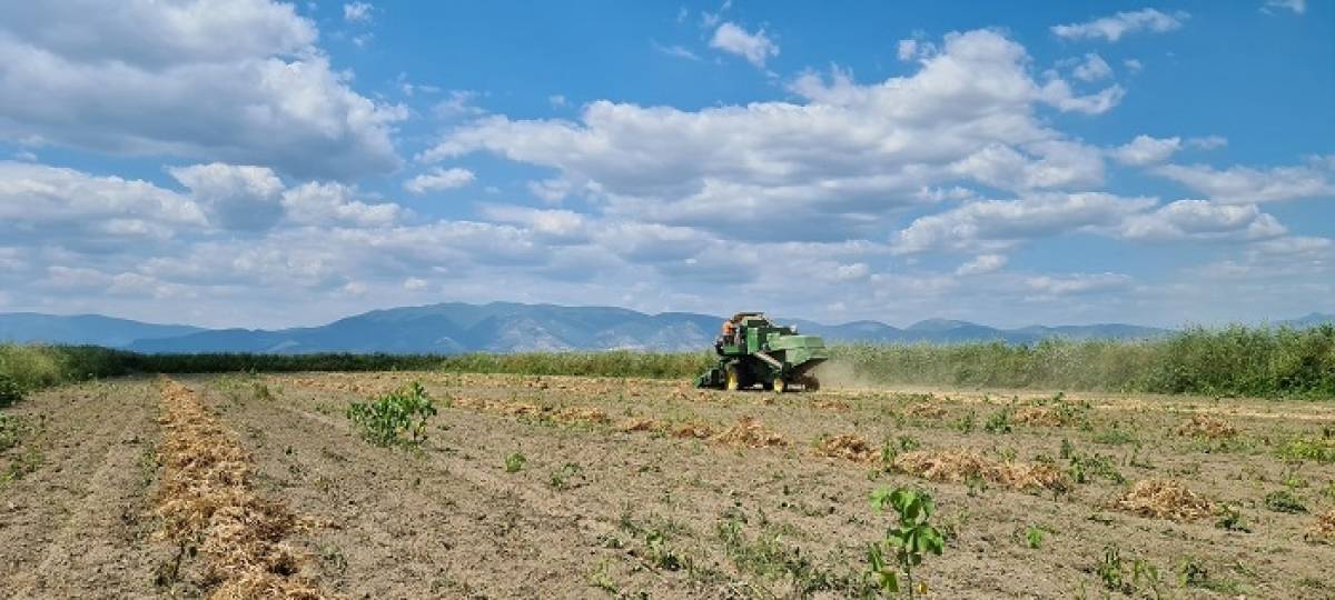 Η 3αλφα συναντάει την «Ομάδα Παραγωγών 3αλφα» σε ένα διαφορετικό οδοιπορικό