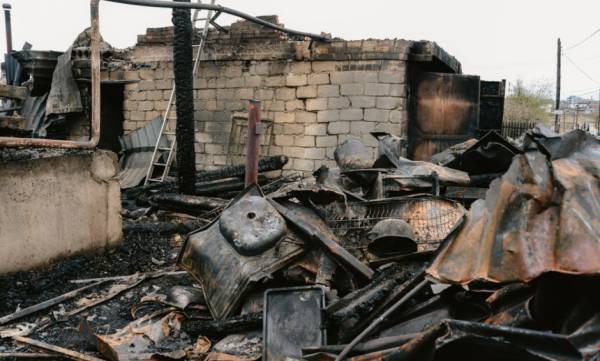 Ιδιοκτήτες πυρόπληκτων εκτάσεων: Τι πρέπει να ξέρουν για τις αναδασώσεις