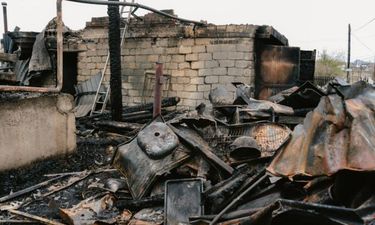 Ιδιοκτήτες πυρόπληκτων εκτάσεων: Τι πρέπει να ξέρουν για τις αναδασώσεις