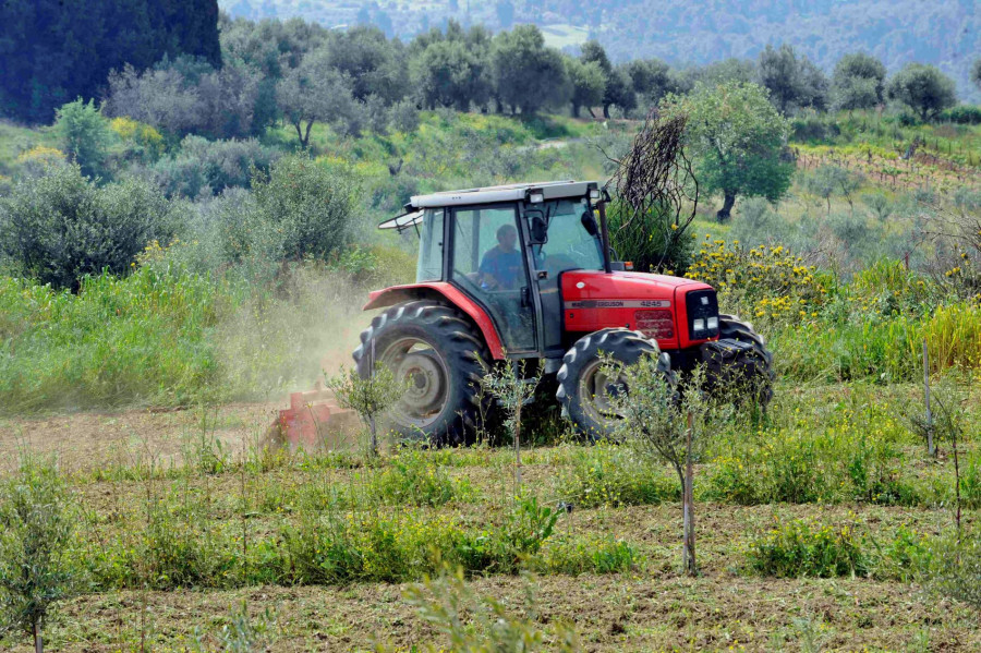 ΕΛΣΤΑΤ: Μεγαλώνει η «ψαλίδα» στην αγροτική παραγωγή – Άνοδος τιμών και εξόδων