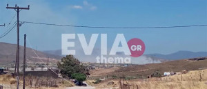 Μεγάλη φωτιά στην Κάρυστο- Επιχειρούν εναέρια μέσα, πνέουν ισχυροί άνεμοι