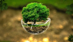 Cop16: 80% των χωρών χωρίς υποβολή σχεδίου για περιβαλλοντική προστασία