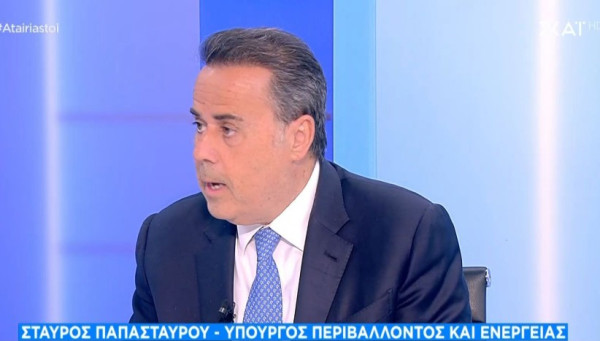 Παπασταύρου: Στις 24 Φεβρουαρίου κοινή συνάντηση στις ΗΠΑ για τον Κάθετο Διάδρομο