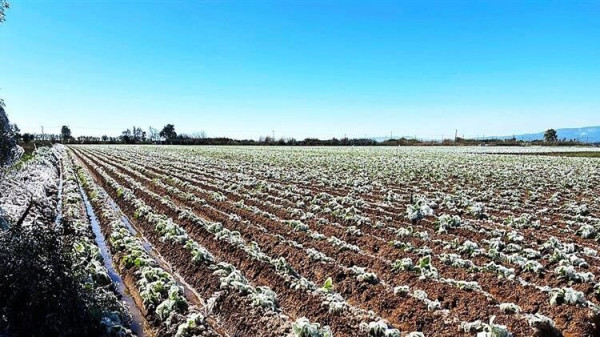 Frost.minagric.gr: Εφαρμογή που θα προειδοποιεί τους αγρότες για τον παγετό