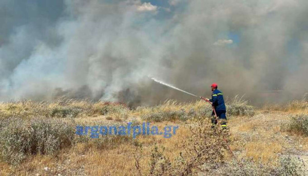 Φωτιά σε αγροτοδασική έκταση στα Μέθανα