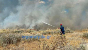 Φωτιά σε αγροτοδασική έκταση στα Μέθανα