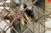 Λουκέτο 30 ημερών σε περίπτωση άσκησης βίας κατά των ελεγκτών