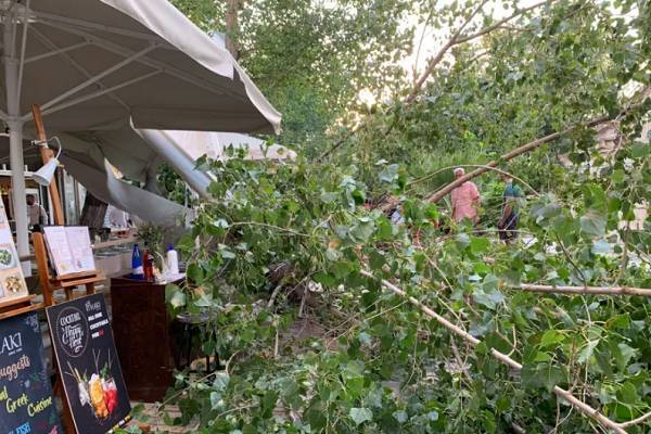 Κατέρρευσε δέντρο στο εστιατόριο που δειπνούσαν Πάιατ - Μενέντεζ