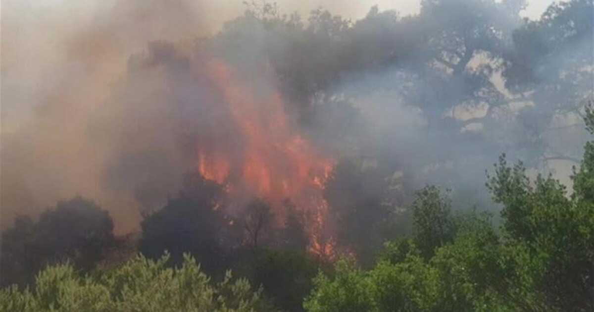 Πυροσβεστική: 44 δασικές πυρκαγιές το τελευταίο 24ωρο-Η κατάσταση στα μέτωπα