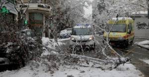 ΚΕΔΕ: Δεν είναι ευθύνη των δήμων το κόψιμο των δέντρων
