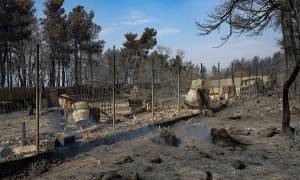 Β. Εύβοια: Σχέδιο ανασυγκρότησης και πλάνο για τις αγροτικές αποζημιώσεις