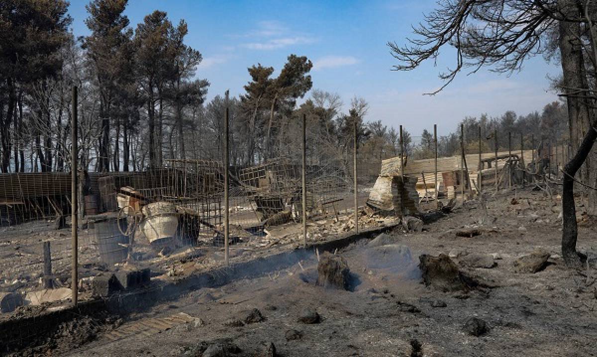 Β. Εύβοια: Σχέδιο ανασυγκρότησης και πλάνο για τις αγροτικές αποζημιώσεις