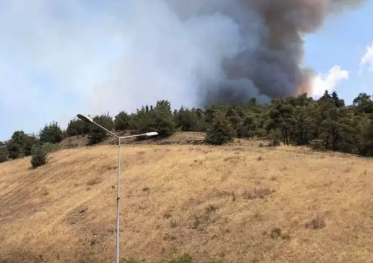 Μια σύλληψη για εμπρησμό για την πυρκαγιά στο Σέιχ Σου